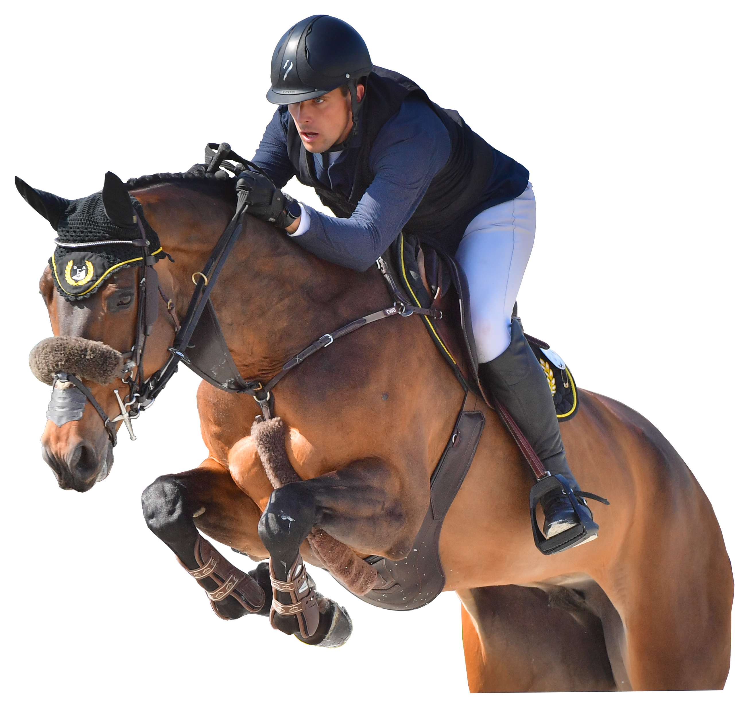 Horse jumping